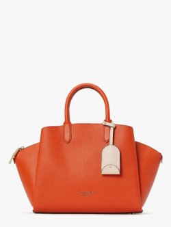 Kate Spade | Dried Apricot Avenue Medium Satchel